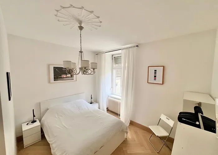 3 Pièces Orangerie-centre Appartement Strasbourg