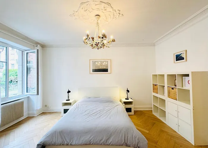 Appartement 3 Pièces Orangerie-centre Strasbourg